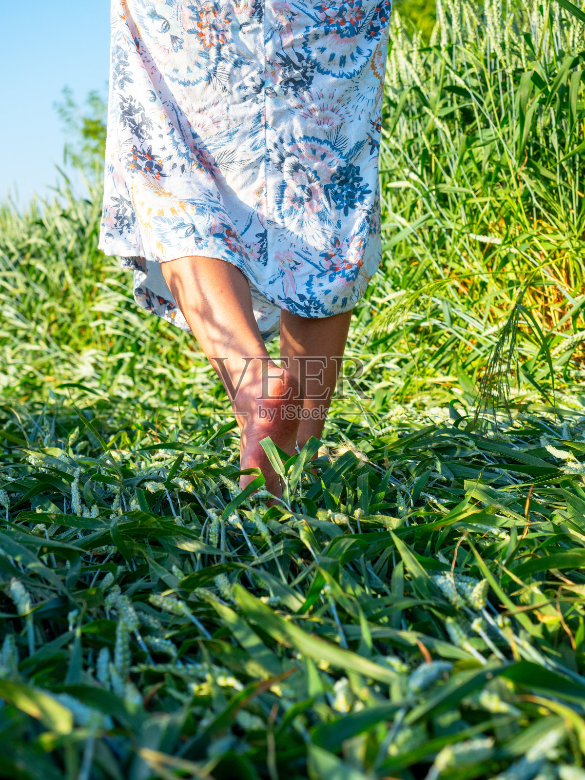 傍晚，一个穿着裙子的女孩光着脚走在草地上的特写。垂直图照片摄影图片