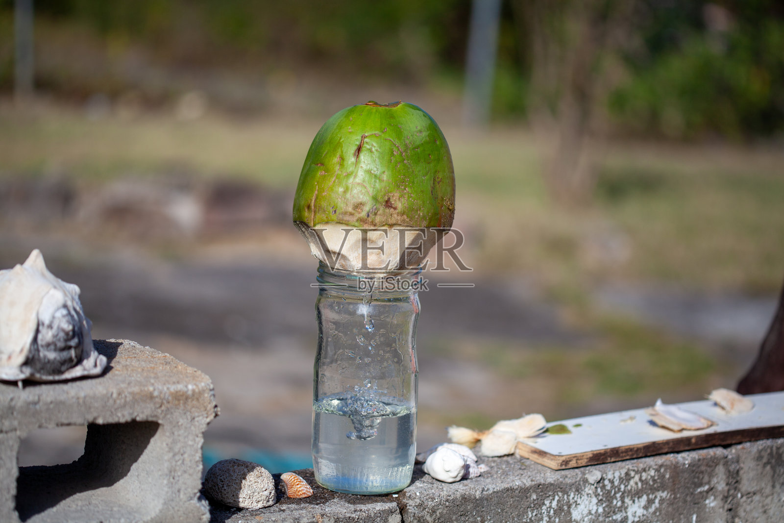 椰子汁照片摄影图片