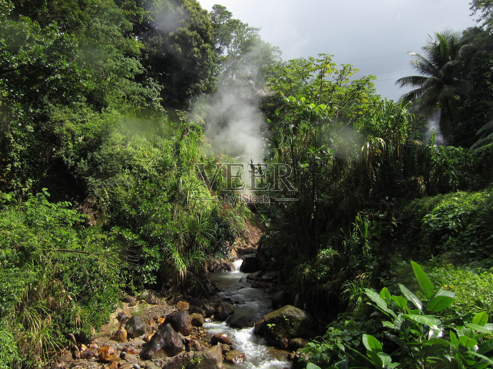 植物水植物群落云天空河流地貌溪流照片摄影图片