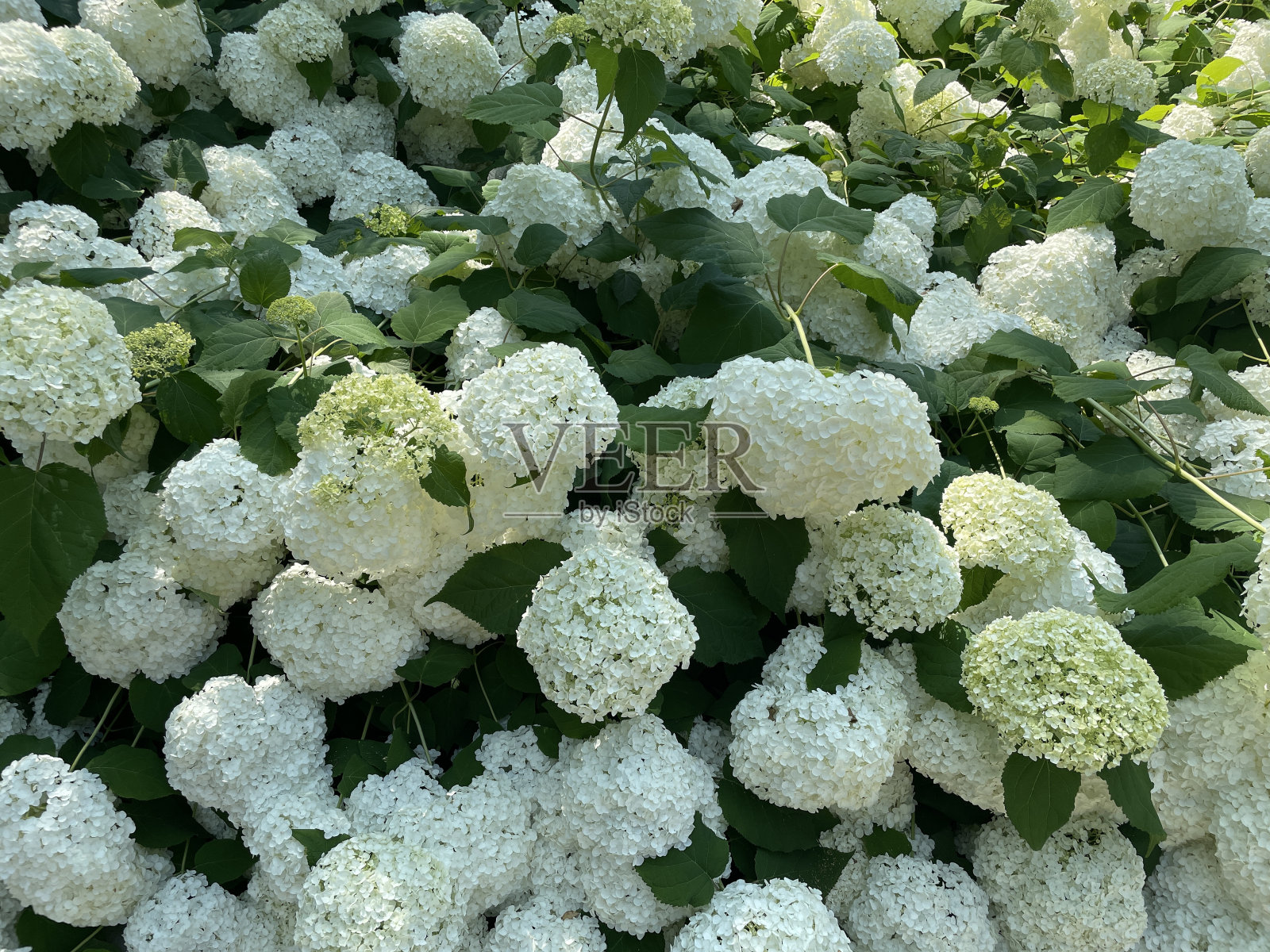 2月22/24照片摄影图片