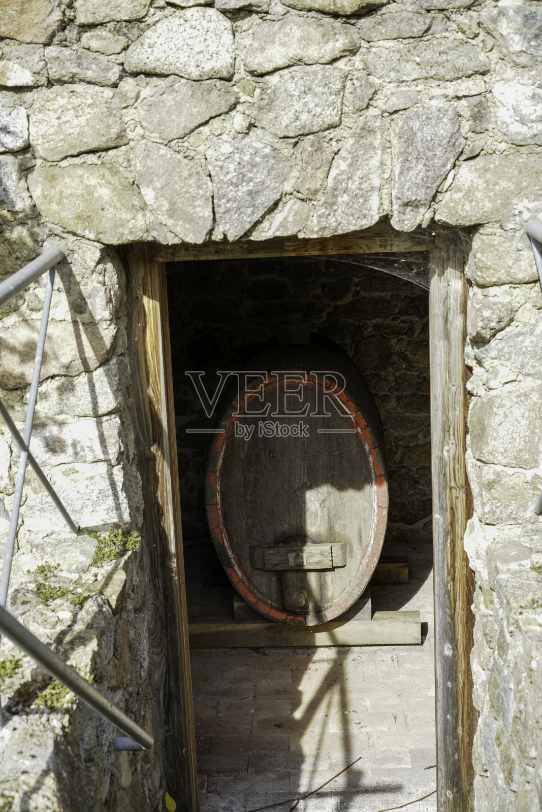 巴伐利亚的葡萄园种植葡萄照片摄影图片