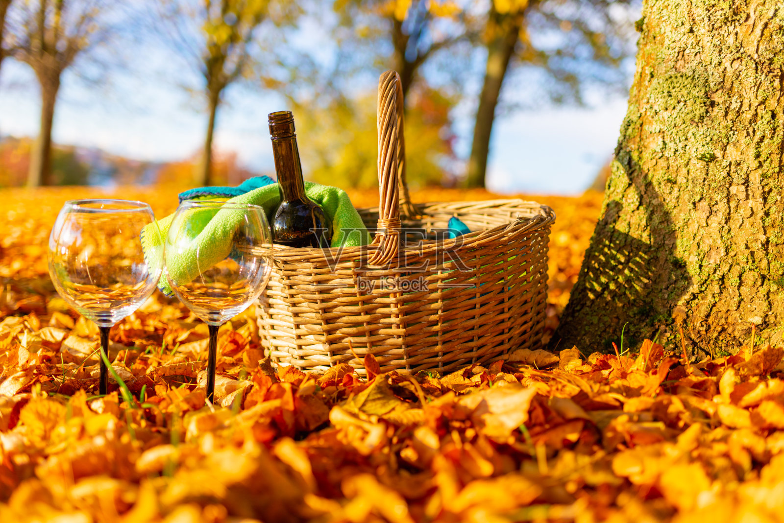 在公园里惬意的橘色秋日野餐，一个温暖的秋日。篮子里有毯子，酒和酒杯放在金黄色的秋叶上。照片摄影图片