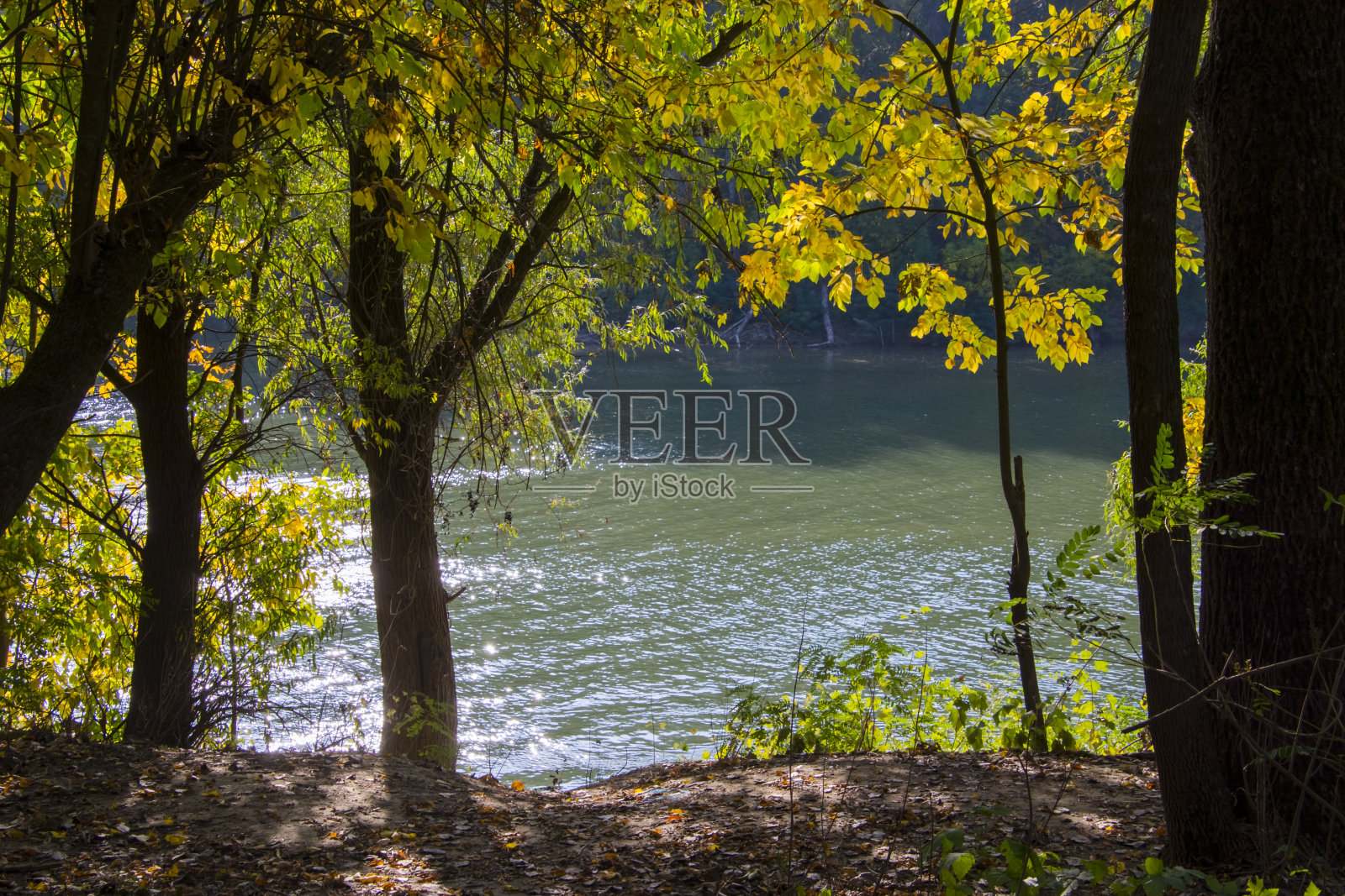 Tisza河在一个废弃的港口照片摄影图片