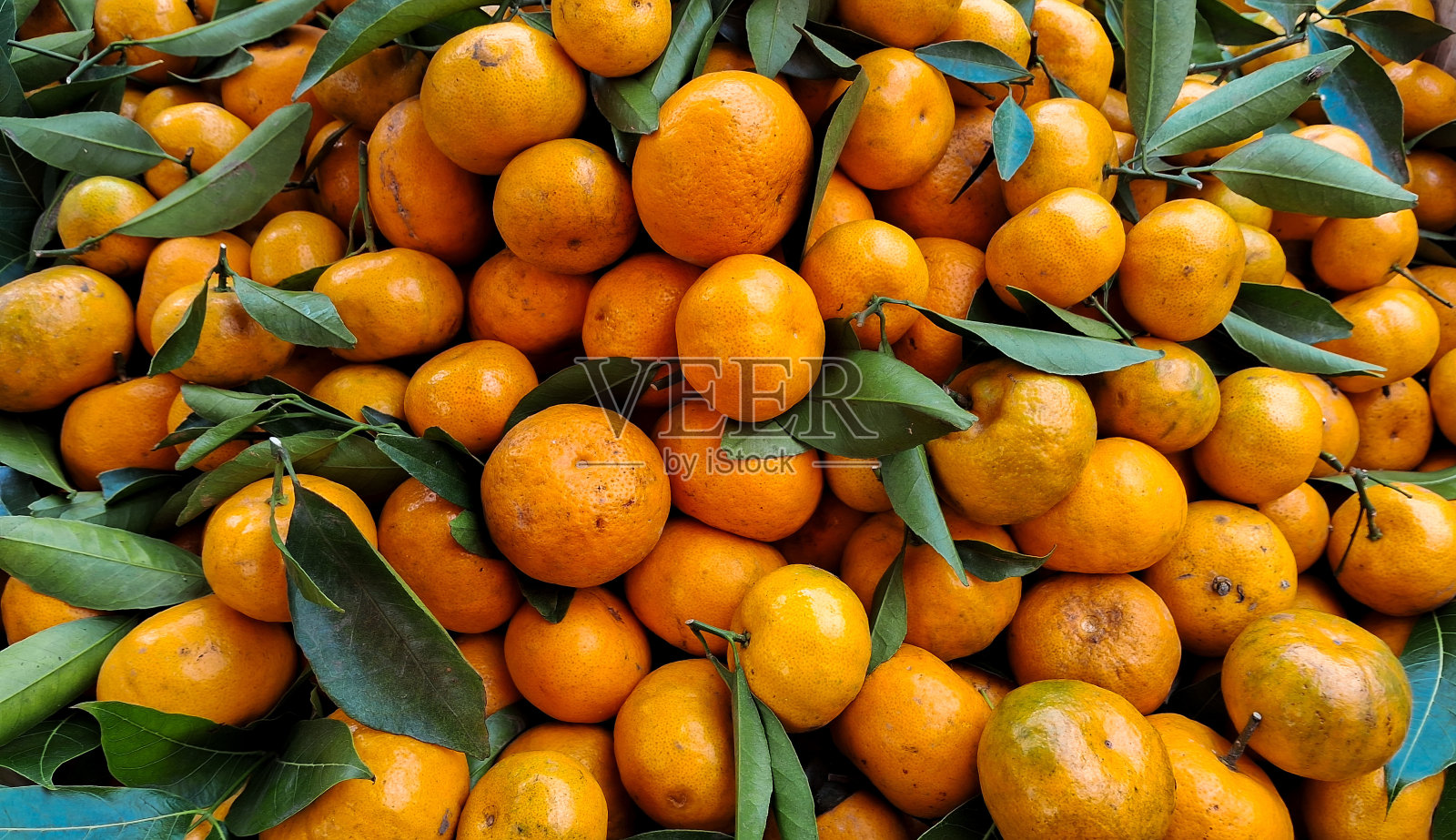 橙子的背景照片摄影图片