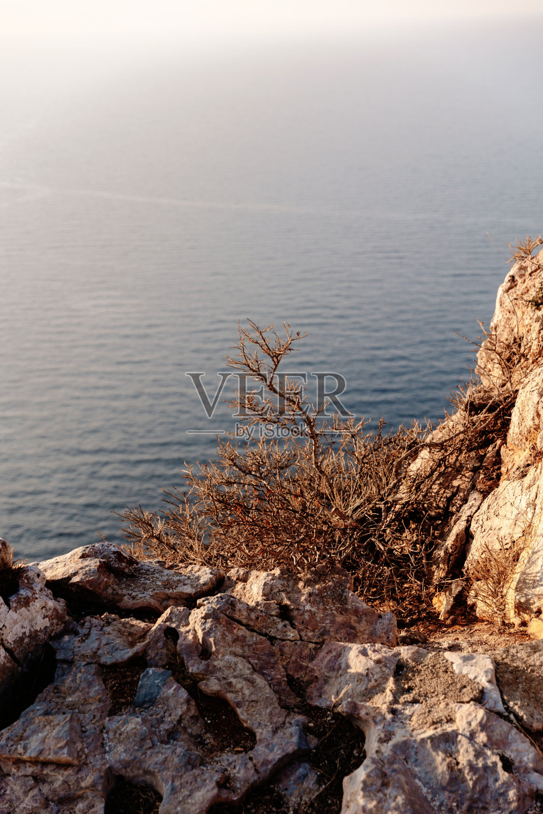 在夕阳下俯瞰爱琴海的Folegandros岛上悬崖上的干植物照片摄影图片