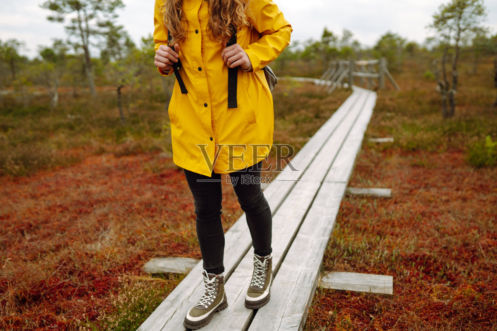 游客沿着小路穿过湿地。照片摄影图片