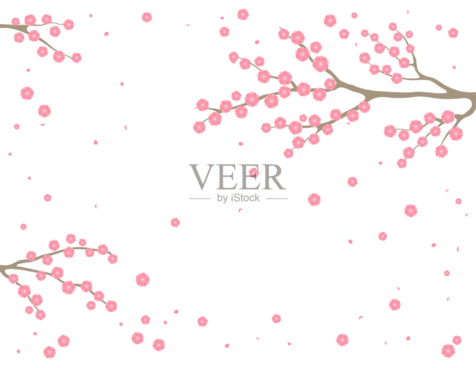 春暖花开，树枝在绽放的背景插画图片素材