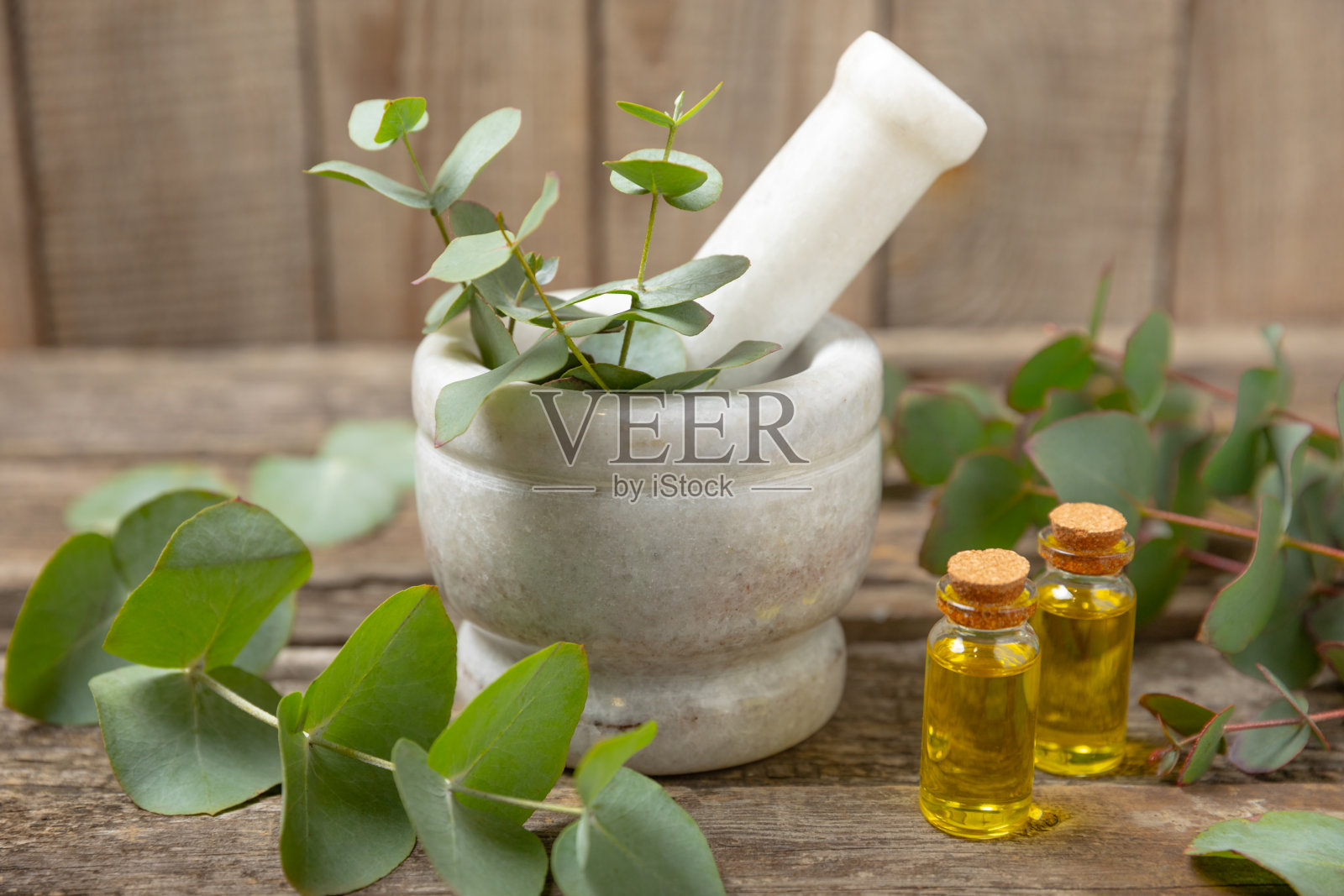 背景是桉树叶和灰浆。水疗中心的概念。替代药物和天然化妆品成分。一瓶精油和一些桉树。有机护肤照片摄影图片
