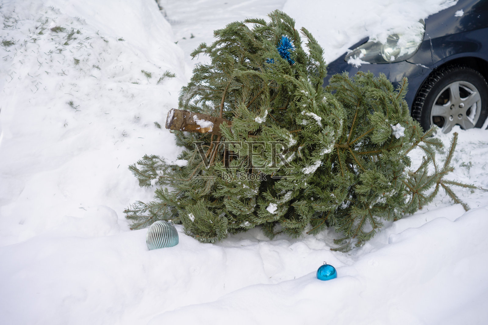 被丢弃的圣诞树照片摄影图片