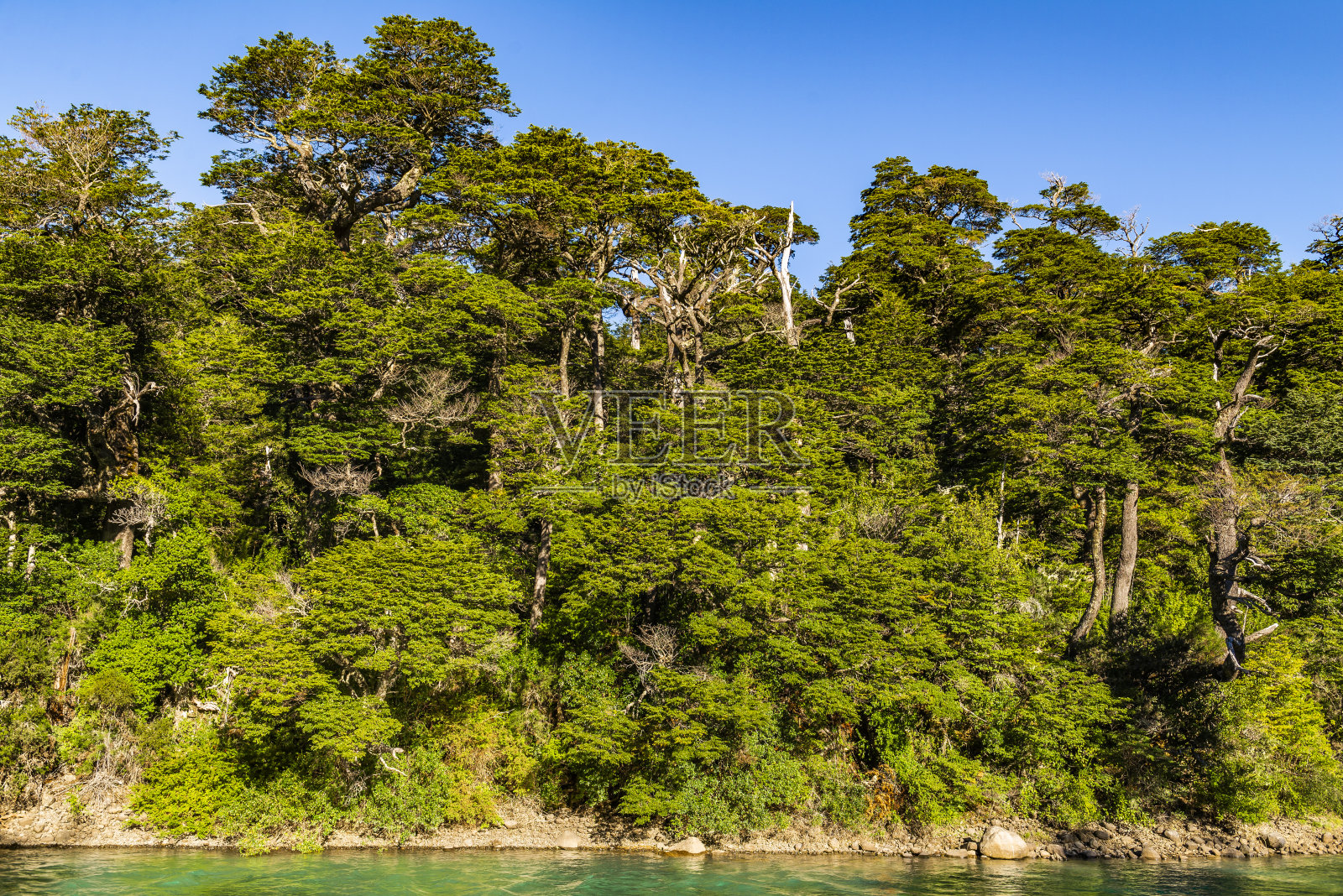 阿根廷巴塔哥尼亚，日落时分，在纳韦尔·华皮号上航行照片摄影图片