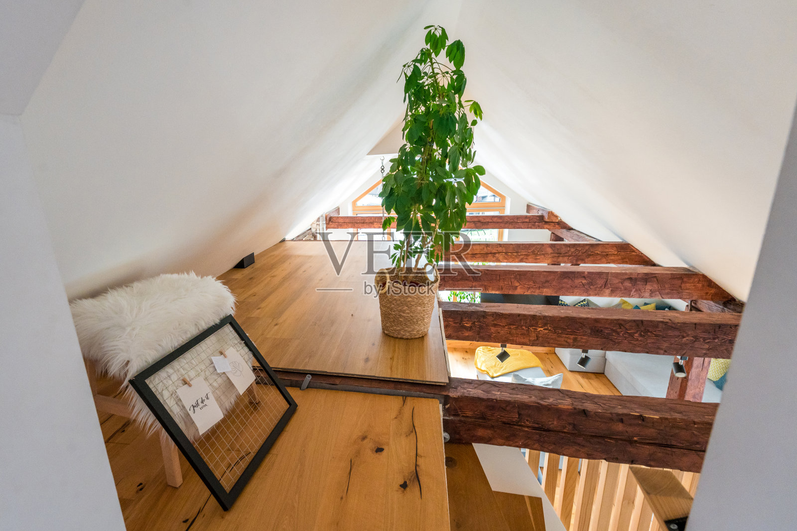 明亮的阁楼式现代公寓室内与绿色植物照片摄影图片