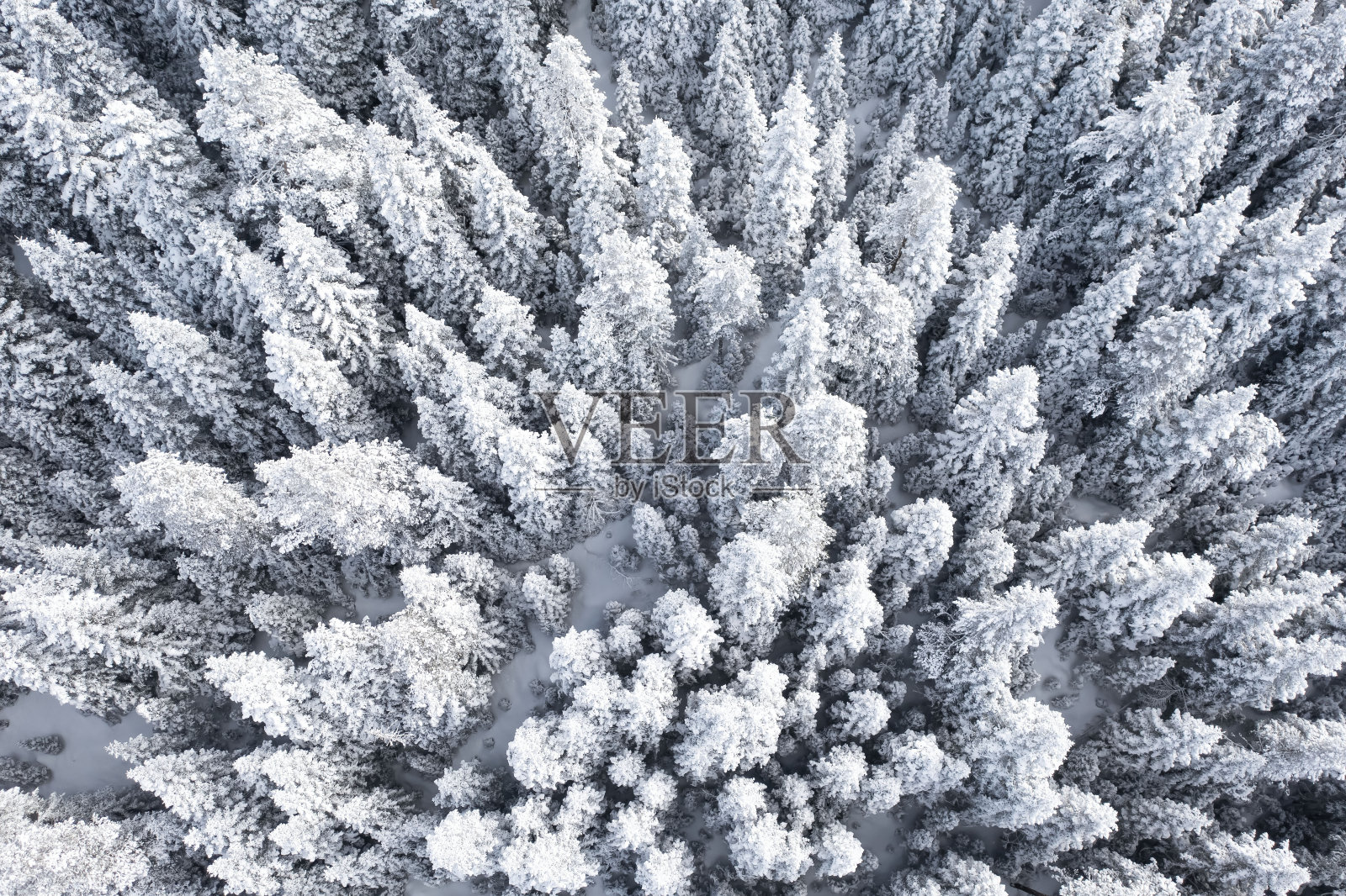 无人机拍摄的雪山鸟瞰图照片摄影图片