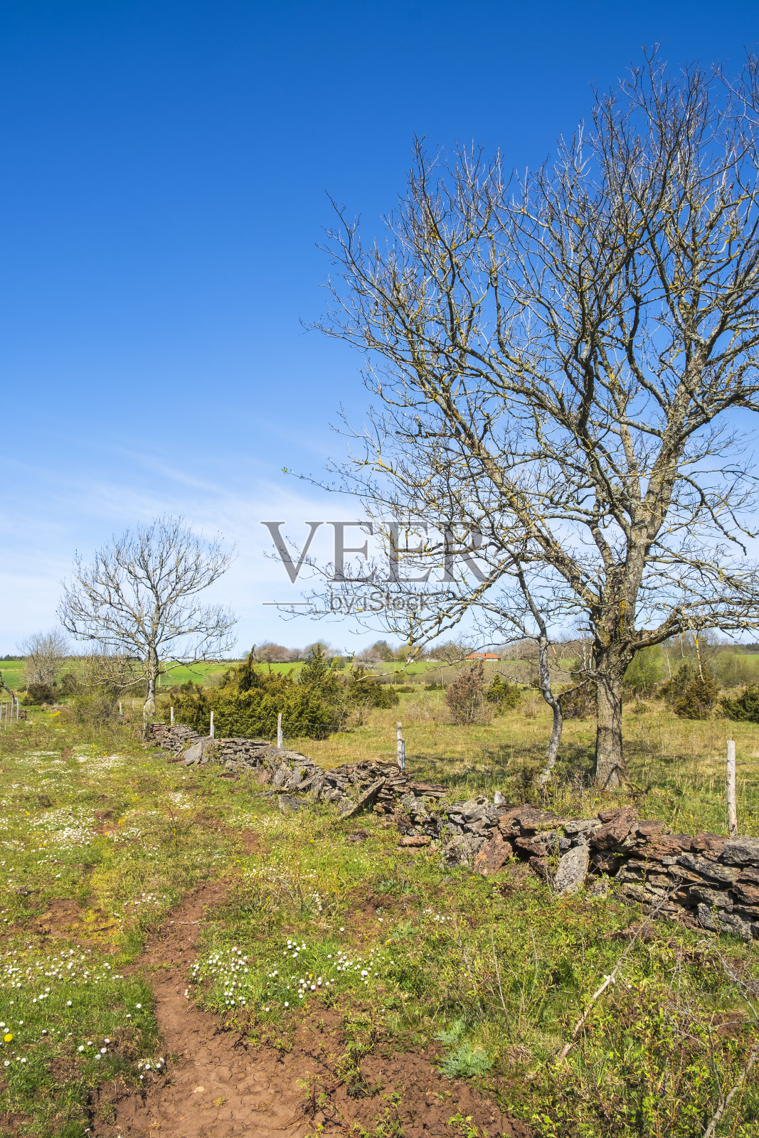 石南景观有石墙照片摄影图片