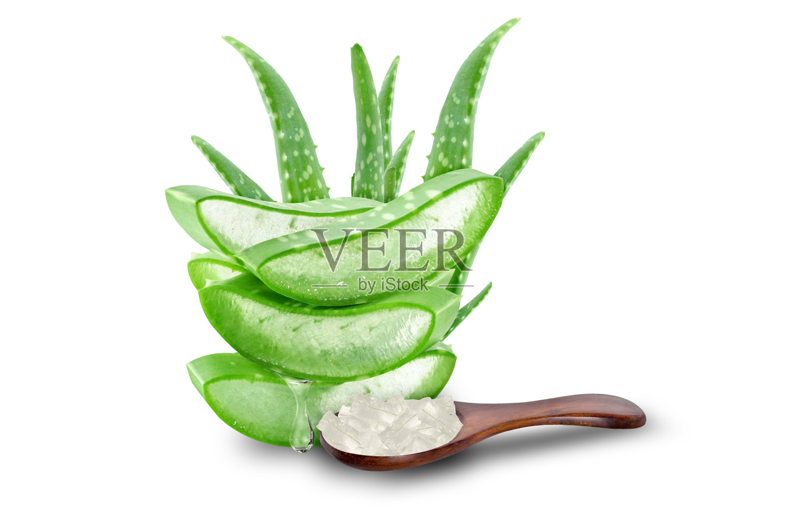 芦荟。照片摄影图片