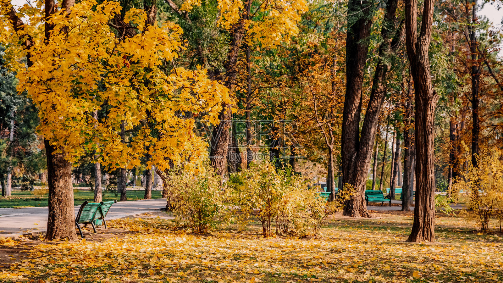 基希讷乌的一个公园照片摄影图片