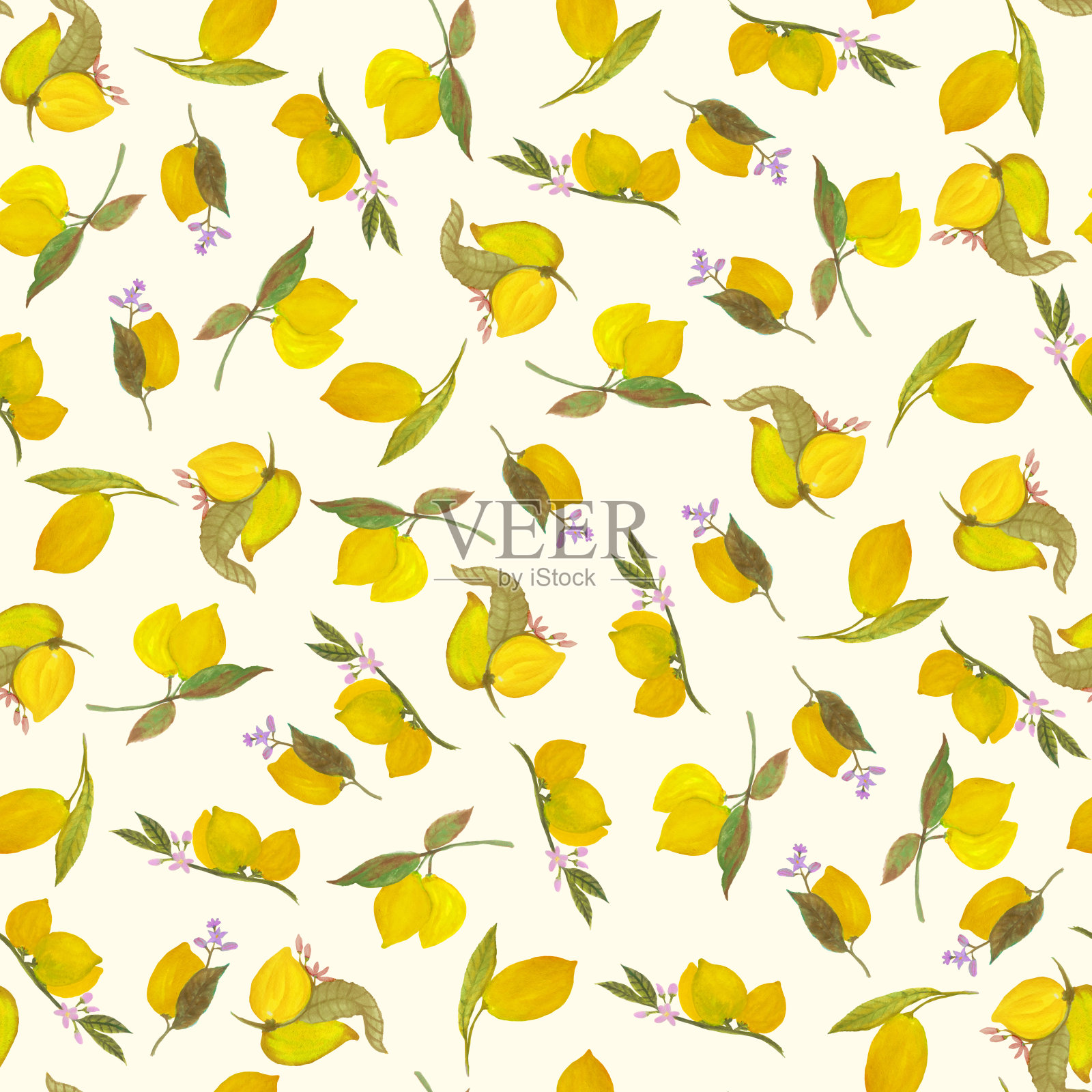 西西里柠檬白色花纹插画图片素材