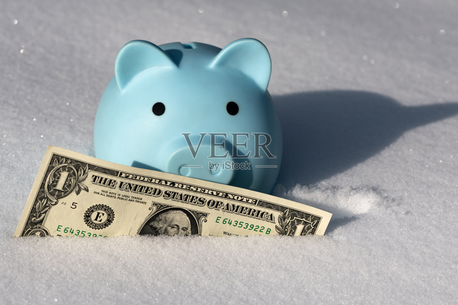 1美元钞票埋在雪里照片摄影图片