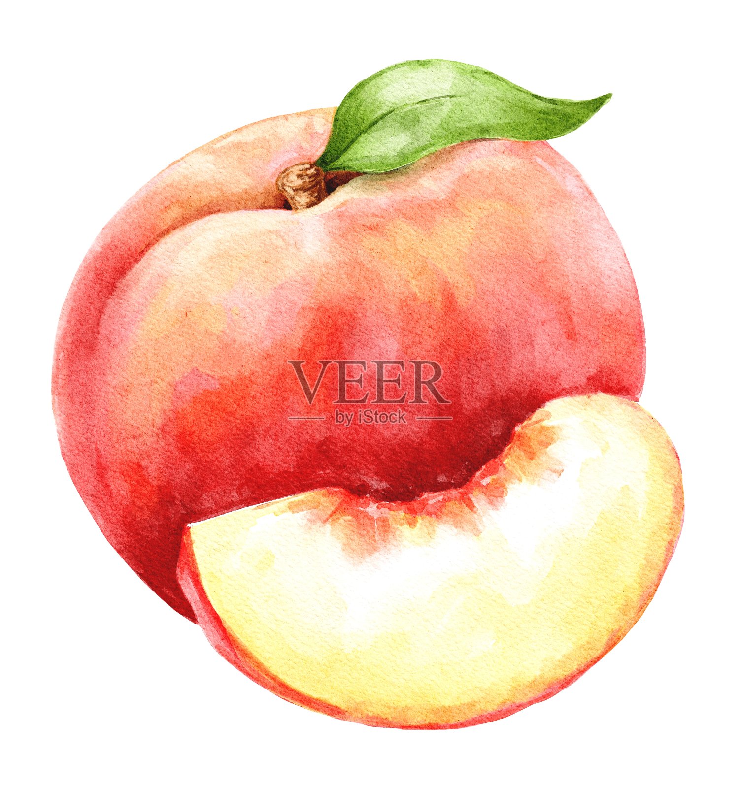 桃子水果手绘食物插图插画图片素材