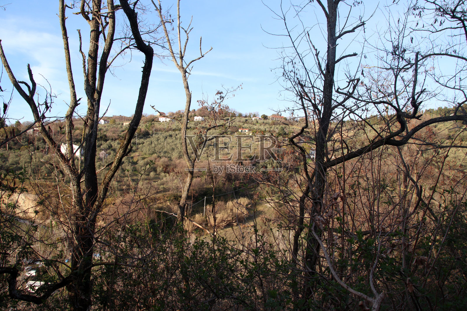 Larino照片摄影图片