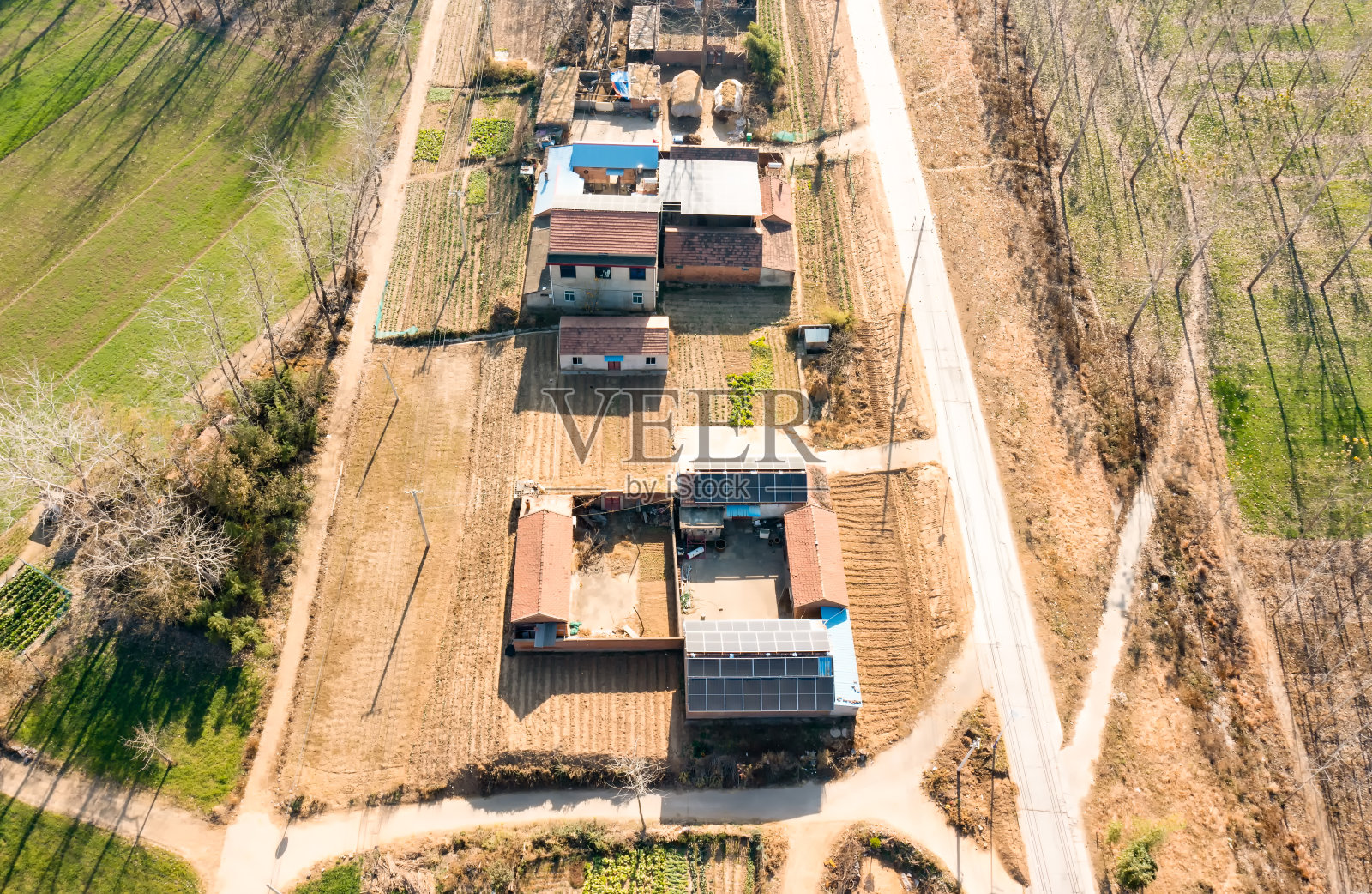 阳光下农村屋顶上的太阳能电池板照片摄影图片