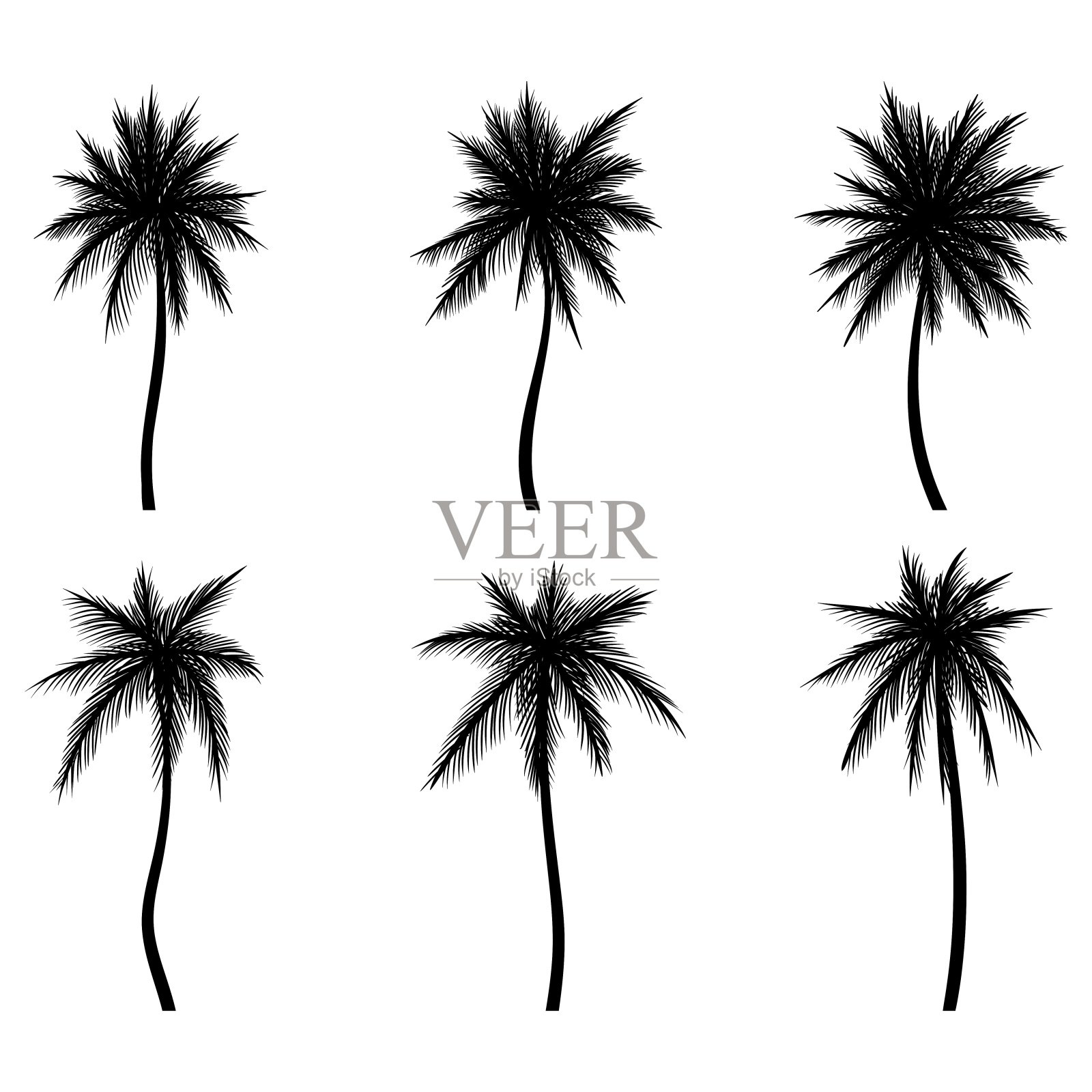 棕榈树椰子剪影集插画图片素材