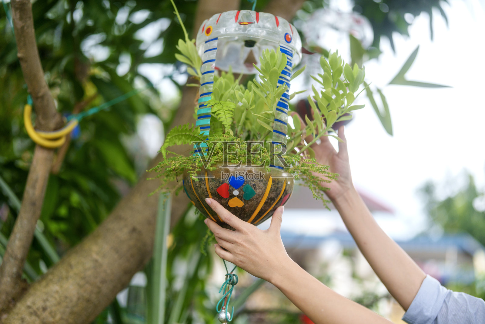 在一个特写镜头中，一位妇女创造性地使用一个回收水瓶作为花盆，展示了一种可持续和环保的园艺方法。照片摄影图片