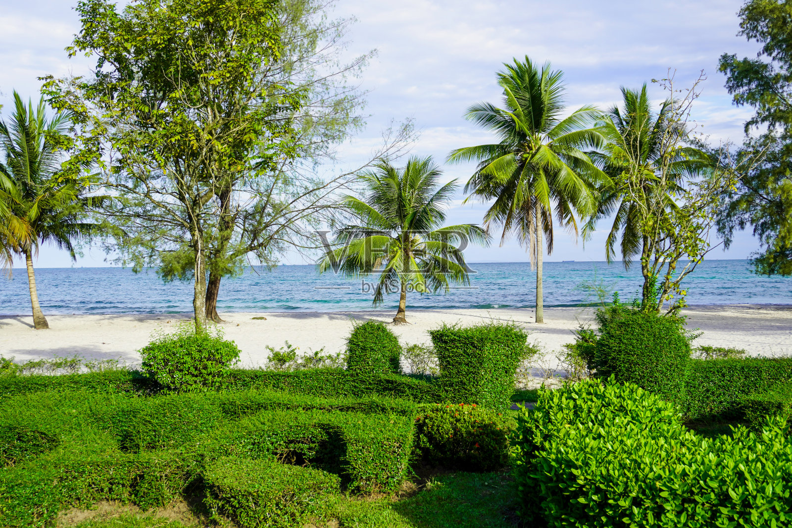 西哈努克城的海滩。棕榈树和蓝色的大海照片摄影图片