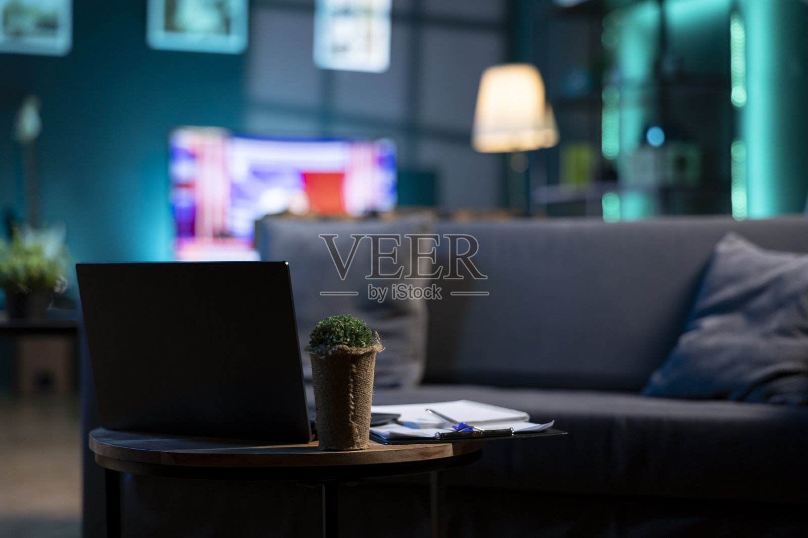笔记本电脑和迷你室内植物在咖啡桌上与电视屏幕照片摄影图片