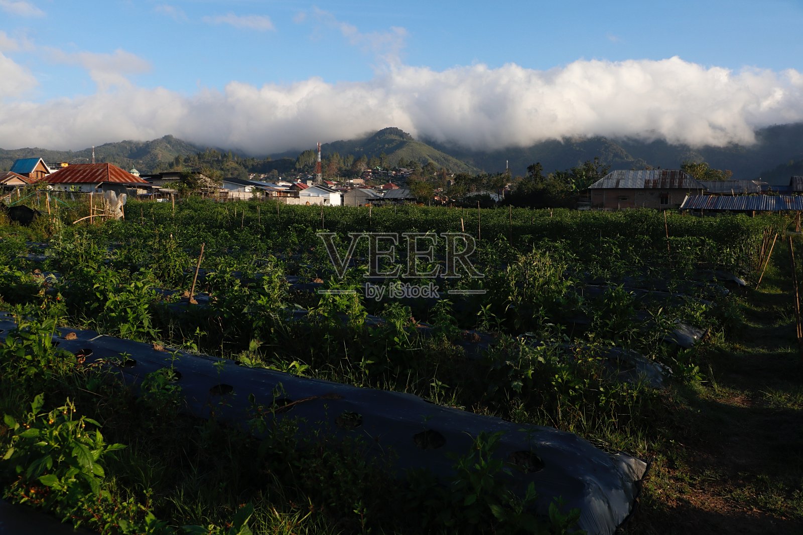 Takengon村的景色照片摄影图片