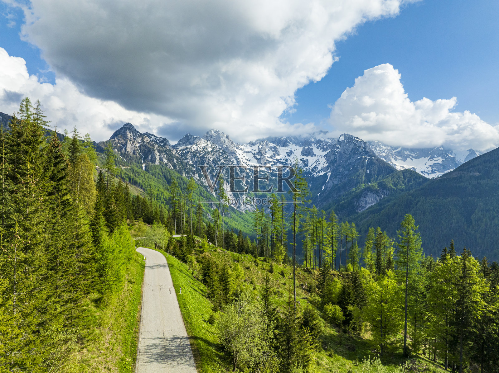阿尔卑斯山谷，春天有一条穿过松树林的公路照片摄影图片