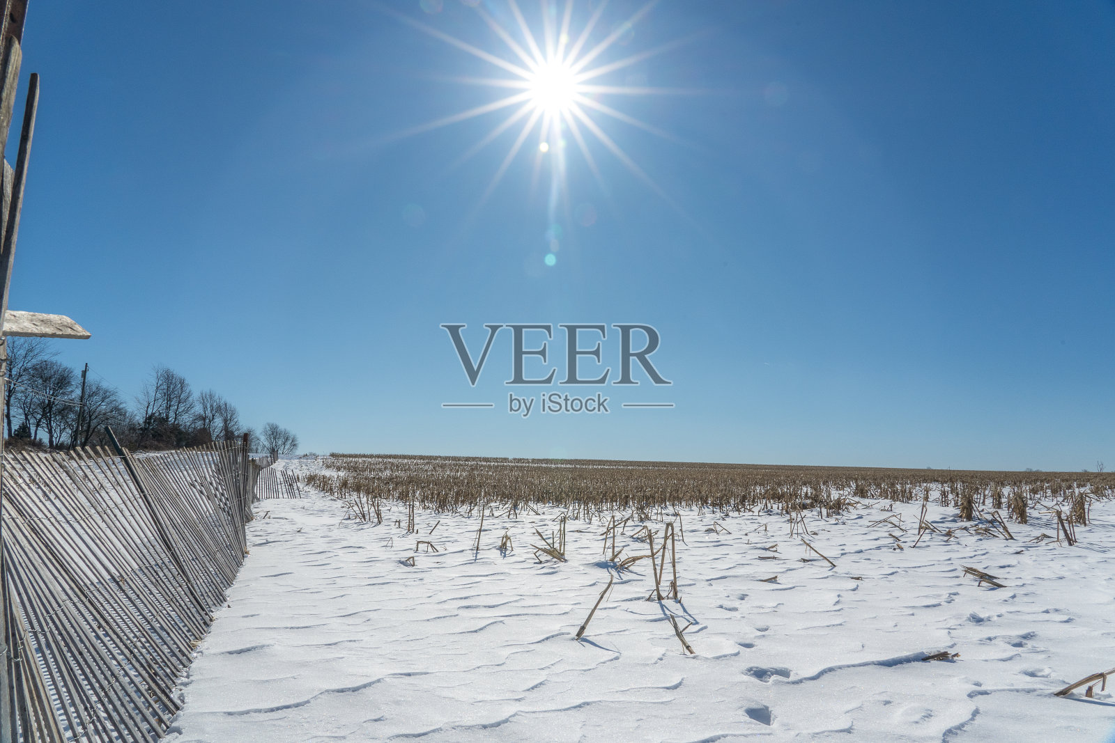 冬季雪景照片摄影图片