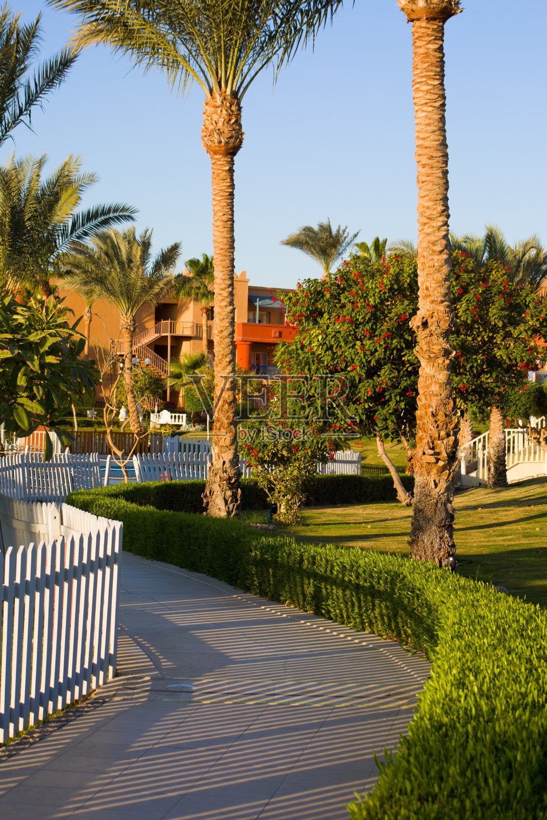 公园绿篱和异国植物景观照片摄影图片