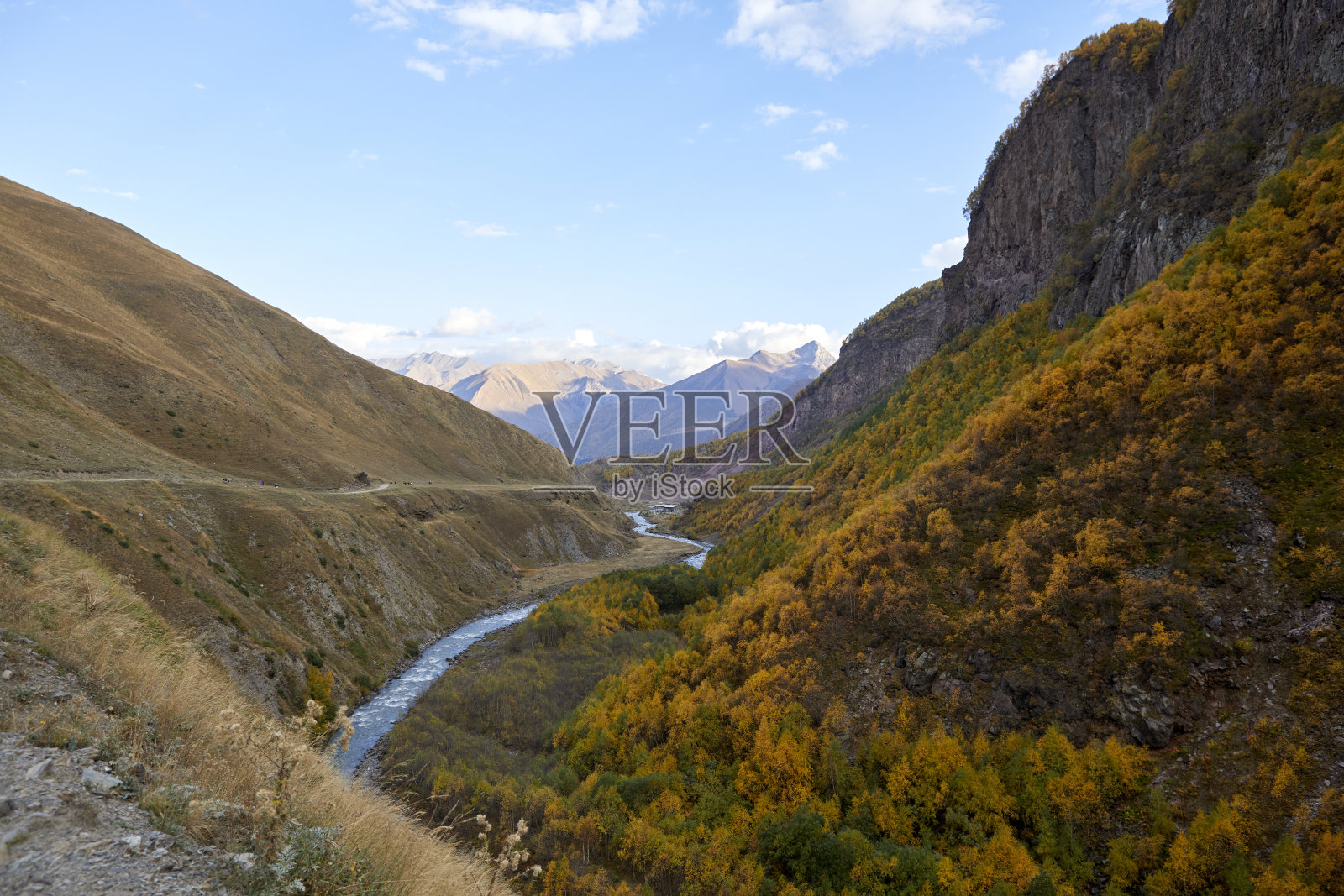 谷照片摄影图片