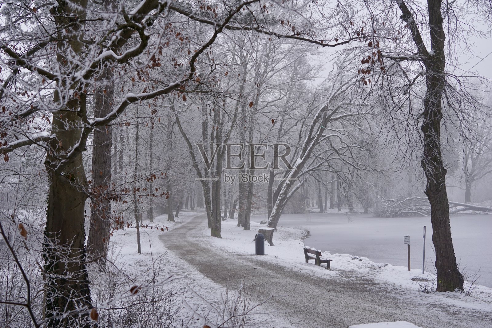 白雪覆盖的德国Bad Aibling。公园里的雪。上巴伐利亚的白色冬天。冬天在Bad Aibling的Kurpark。照片摄影图片