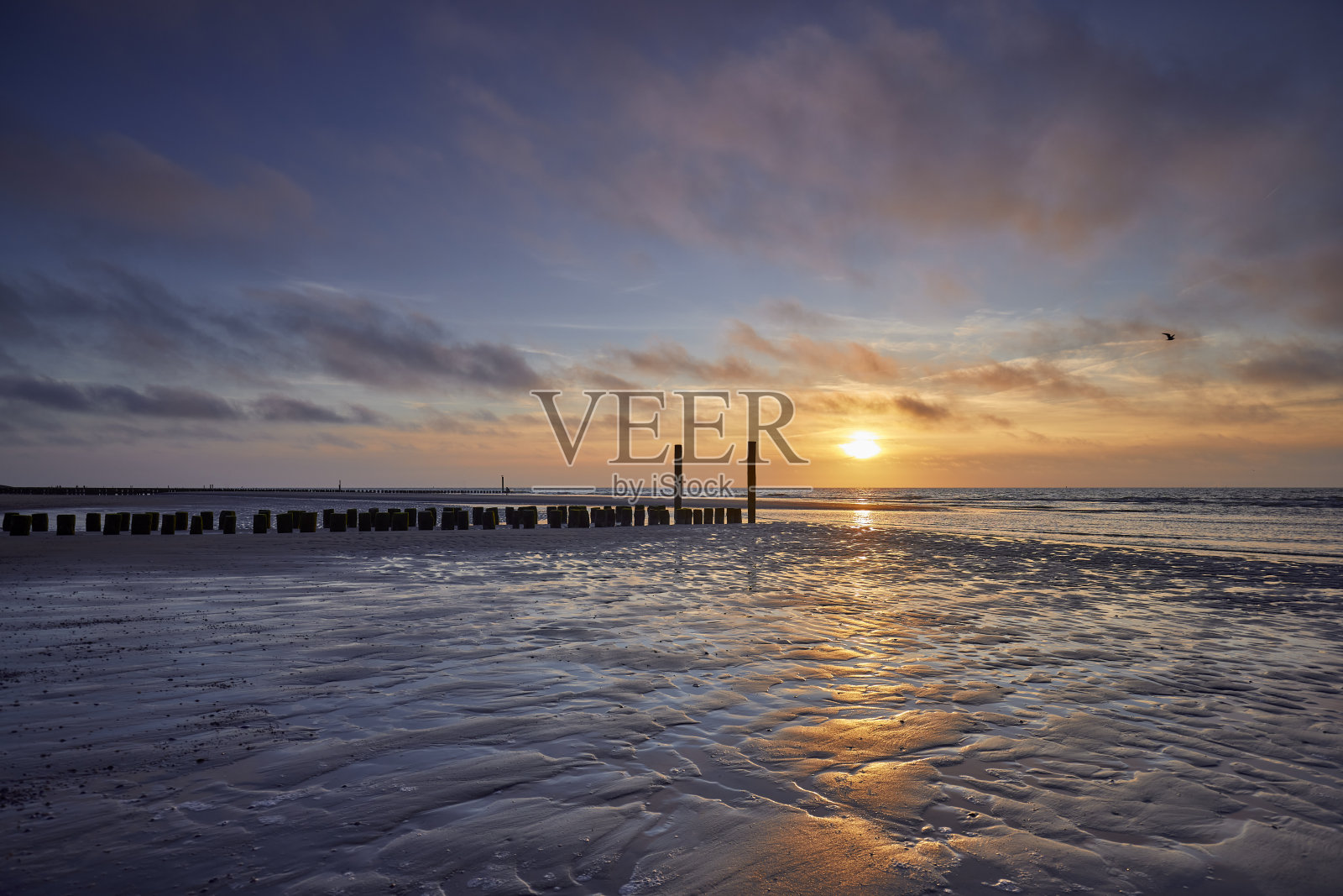 海滩上的防波堤，荷兰，泽兰，多姆堡照片摄影图片