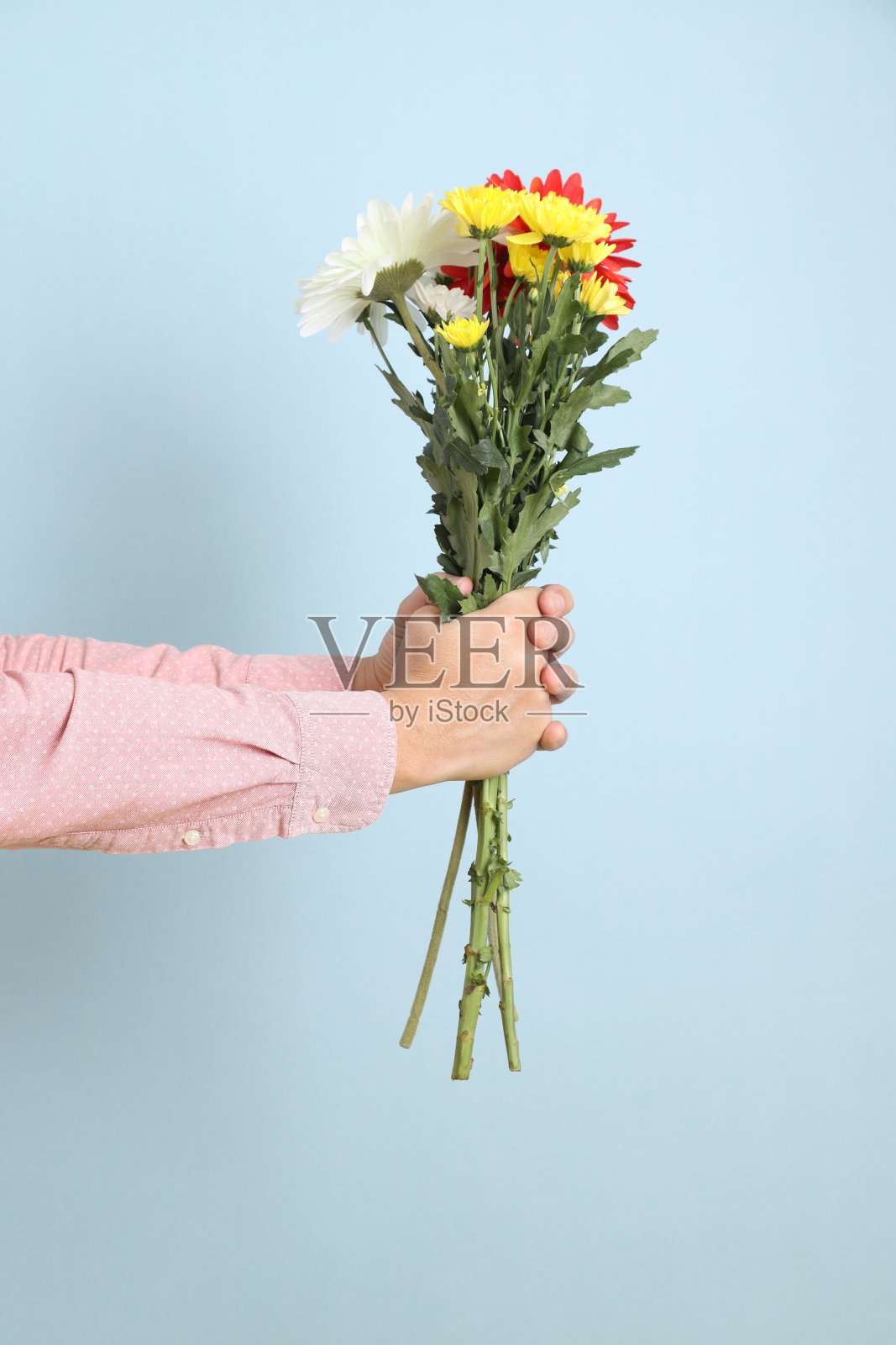 情人节照片摄影图片