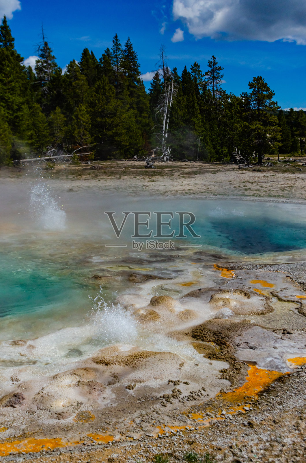 开水泡泡器间歇泉。有大喷发的活跃间歇泉。黄石公园，怀俄明州，美国照片摄影图片
