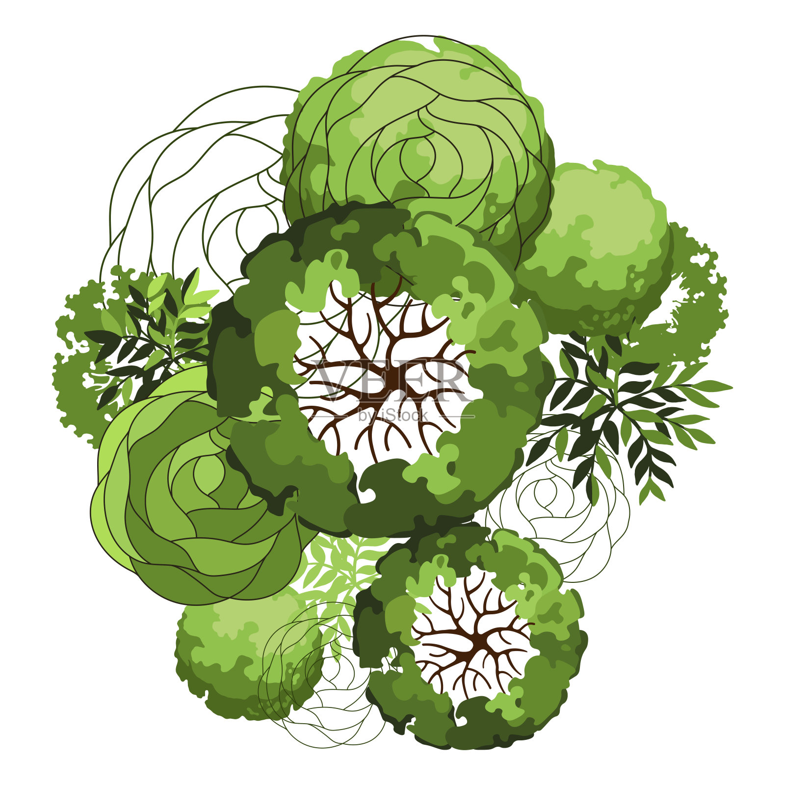 一组用于建筑平面图的树木。随行人员设计。各种树木、灌木、灌木，为景观设计方案的俯视图。矢量插图。插画图片素材