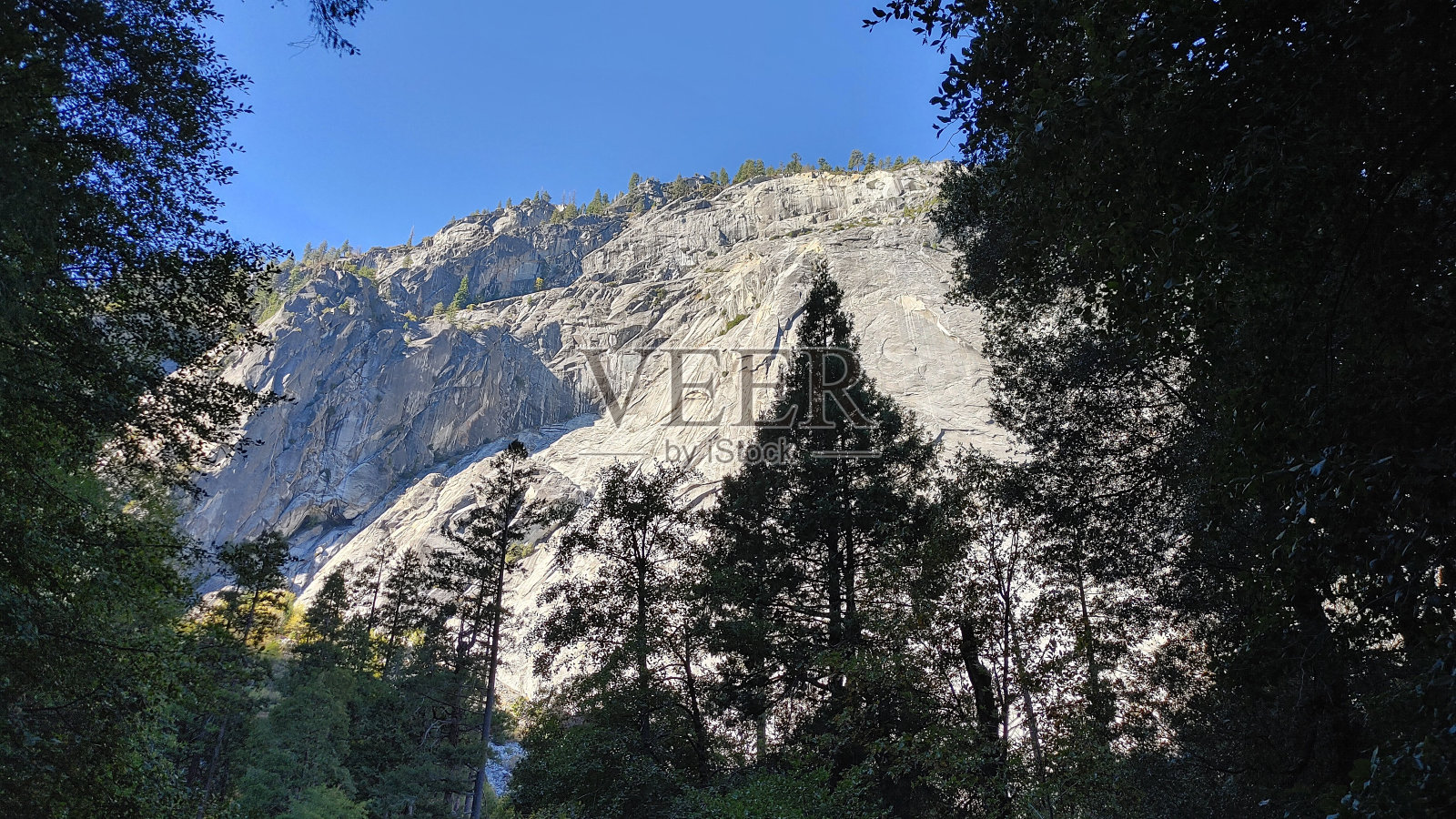 迷人的森林照片摄影图片