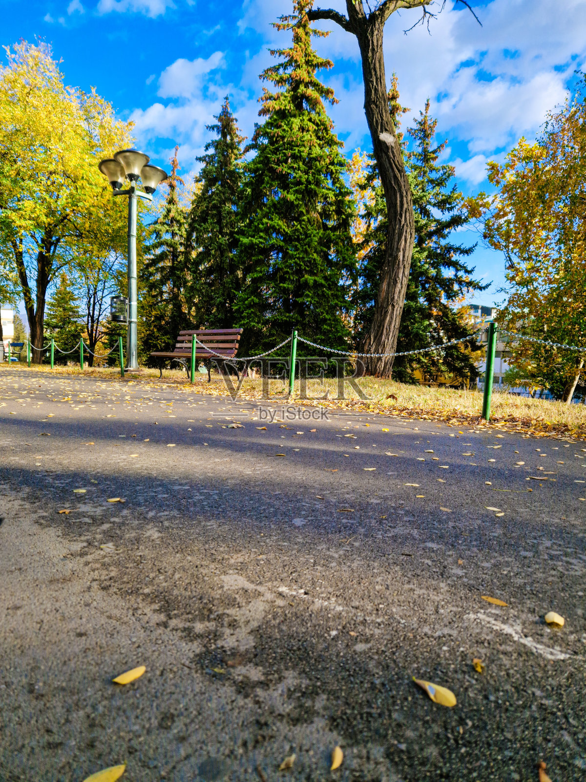 自然景观照片摄影图片