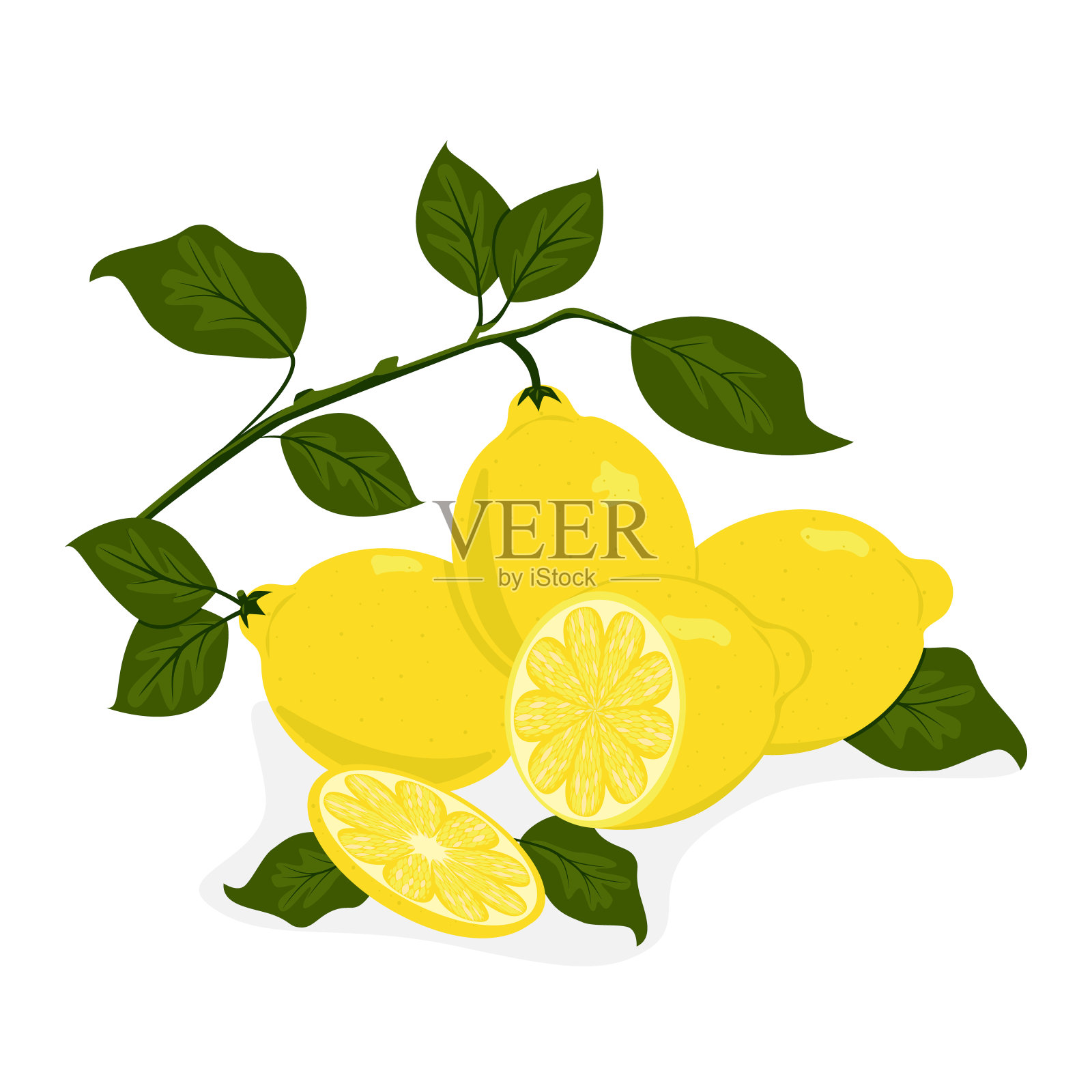白色背景上的柠檬。插画图片素材