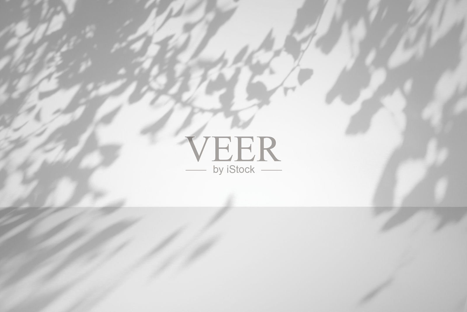 模拟3d房间场景与自然植物阴影覆盖照片摄影图片