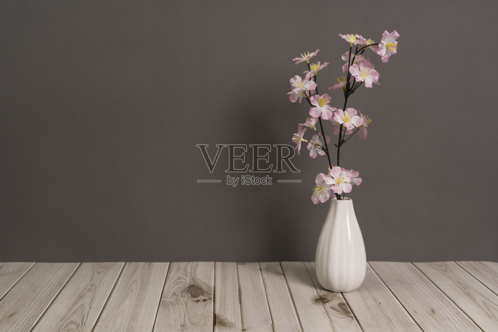 灰色背景上，花瓶里的樱花照片摄影图片