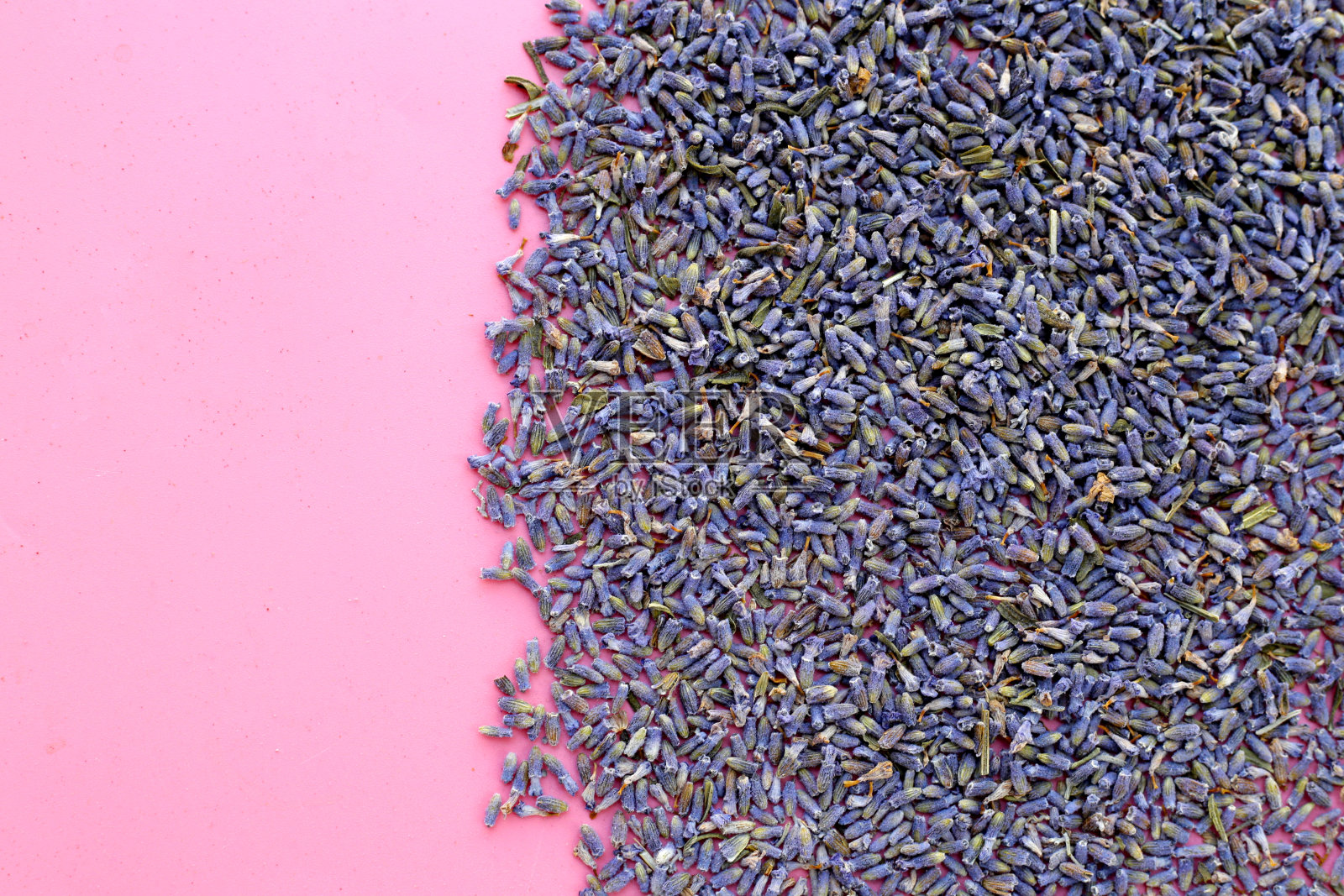 用来泡凉茶的干薰衣草花蕾照片摄影图片