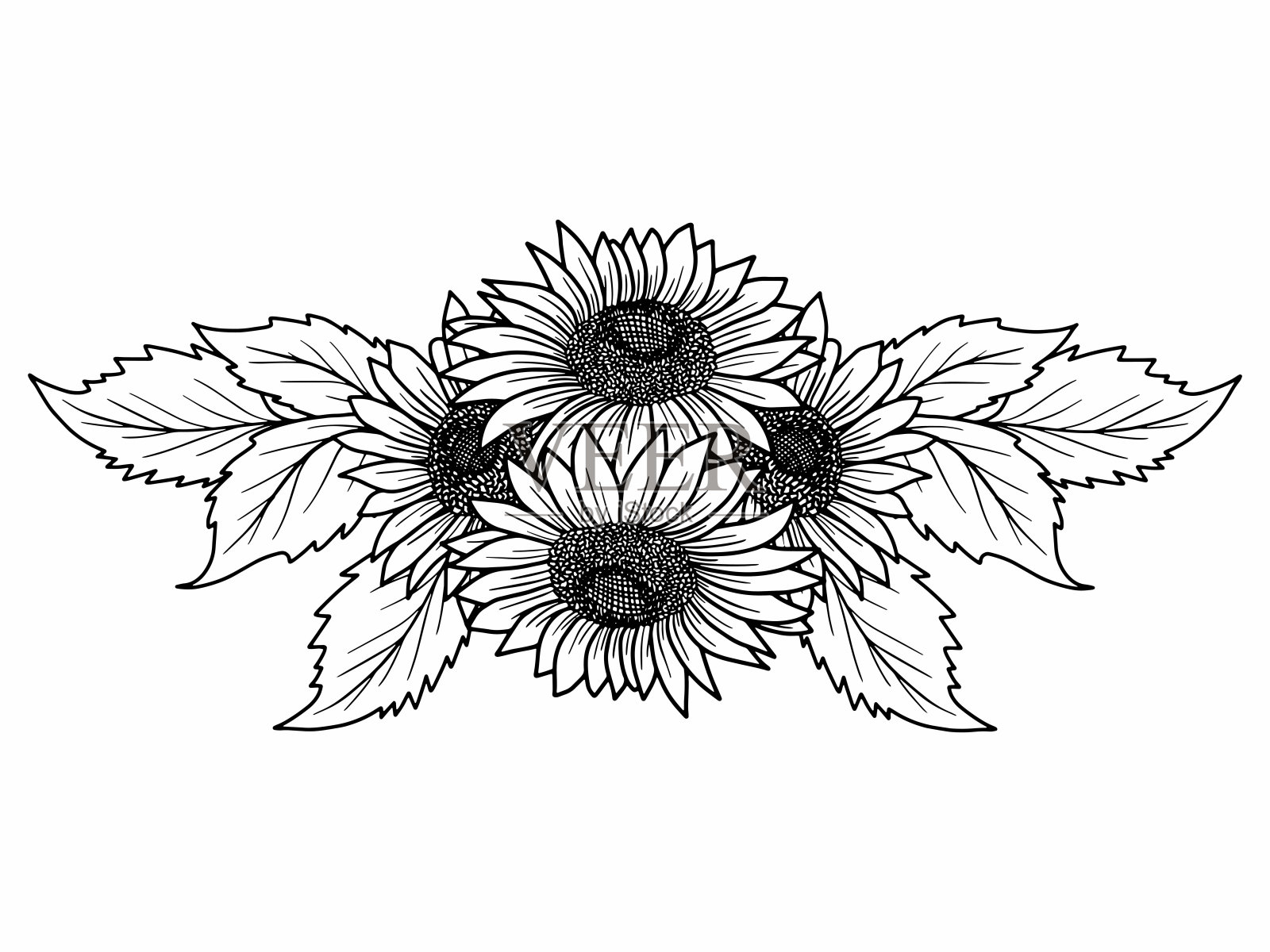 花线艺术安排插图。手绘花线艺术插图。花线艺术黑白。角边花轮廓插图。花线艺术花束安排。花束花线艺术插图插画图片素材