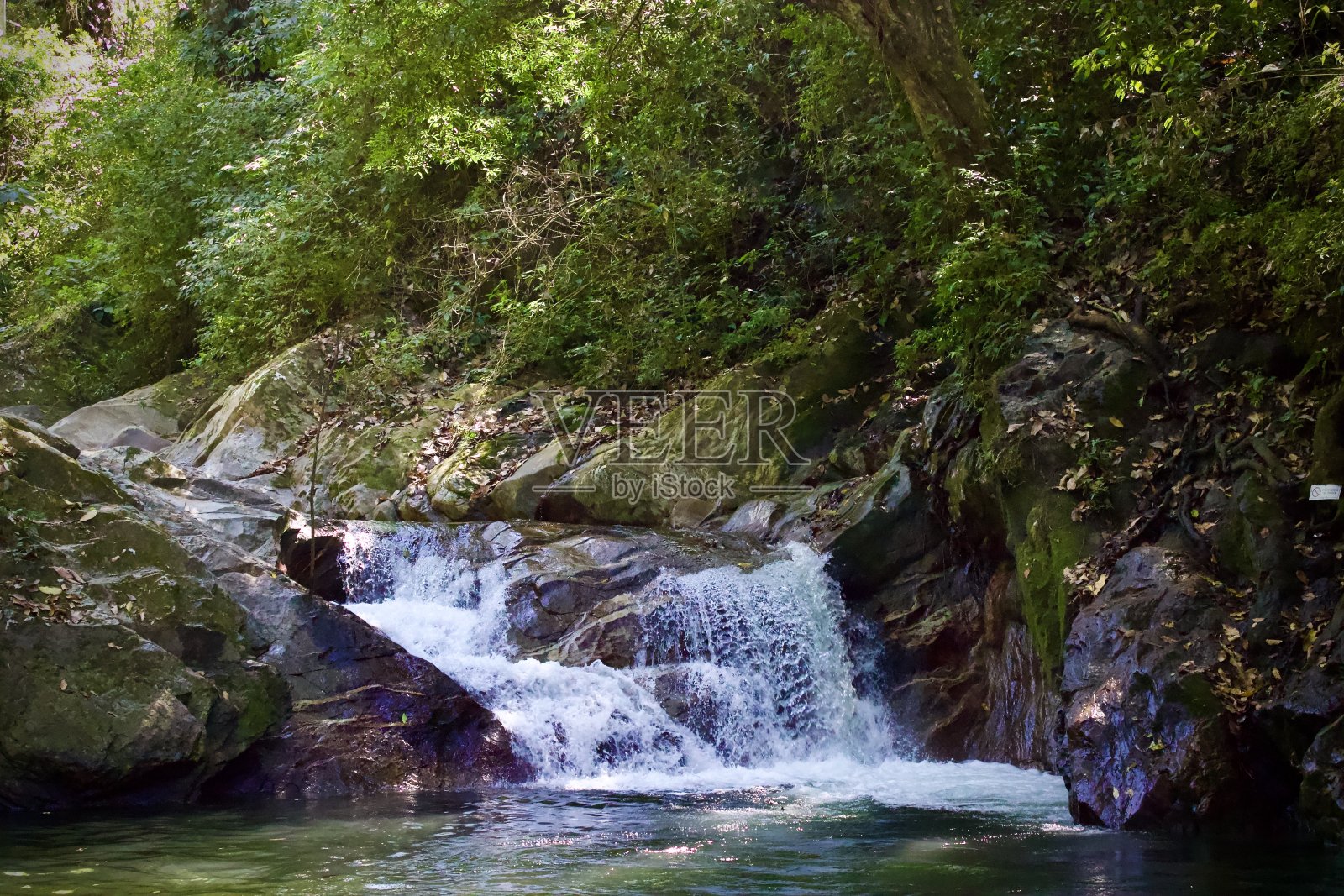 阳光下的乐趣照片摄影图片