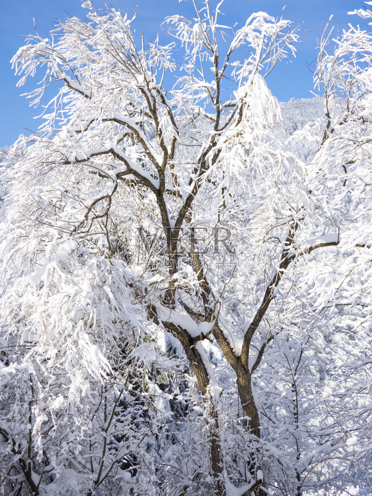 冬天的风景照片摄影图片