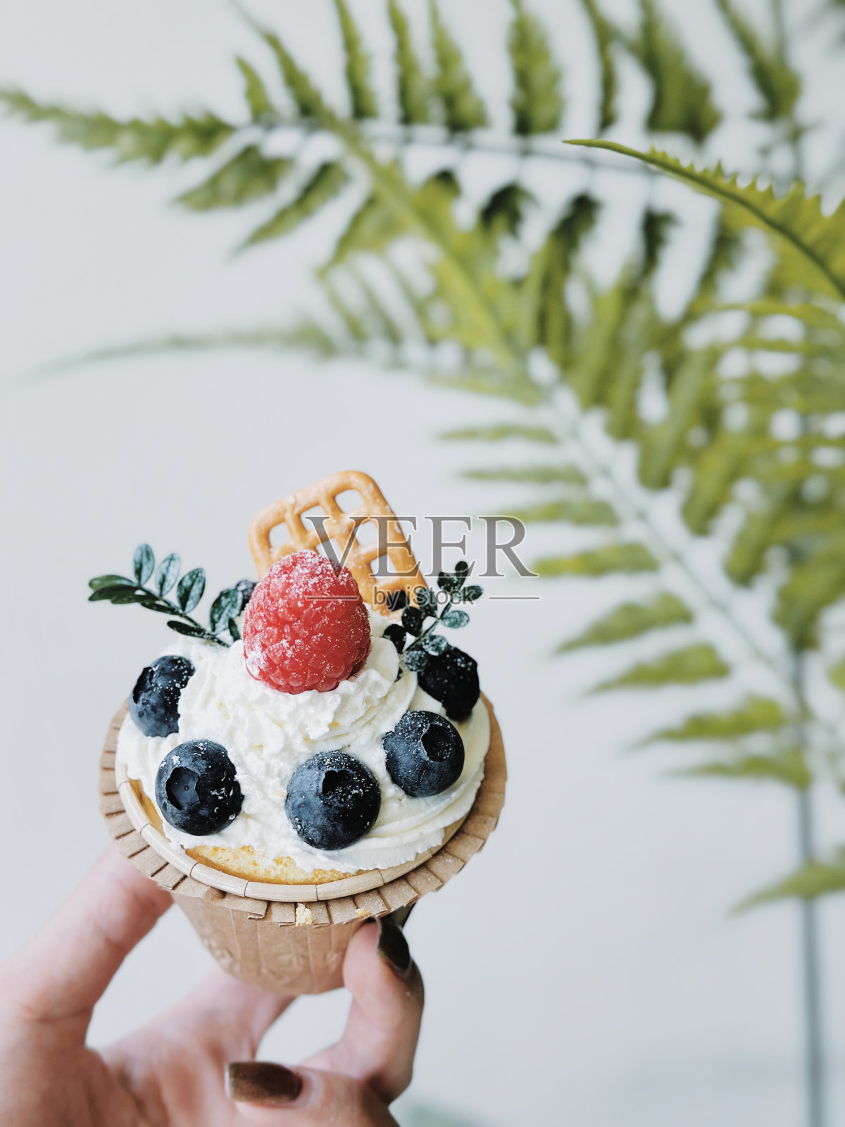 精致的甜点冰淇淋美味佳肴照片摄影图片