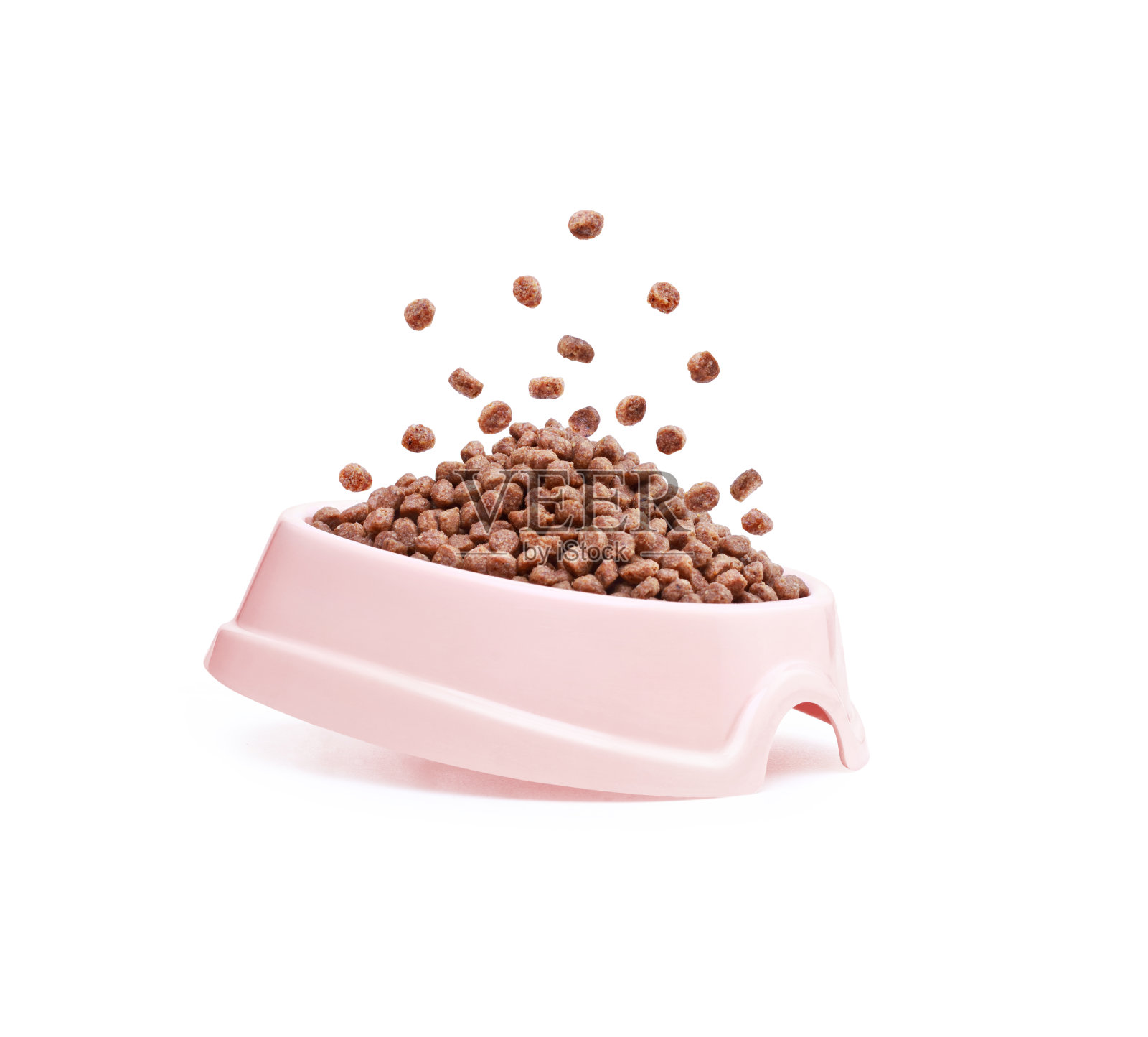 装在塑料盘子里的小品种狗的干粮照片摄影图片