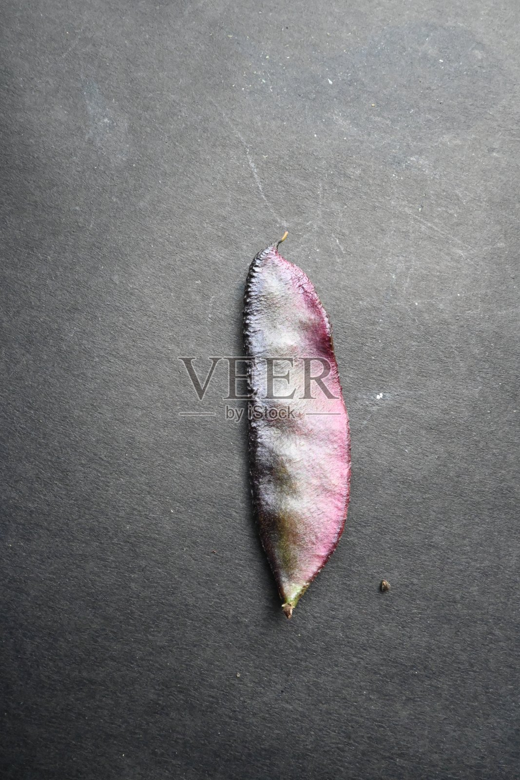 黑色背景上的紫色蔬菜。照片摄影图片